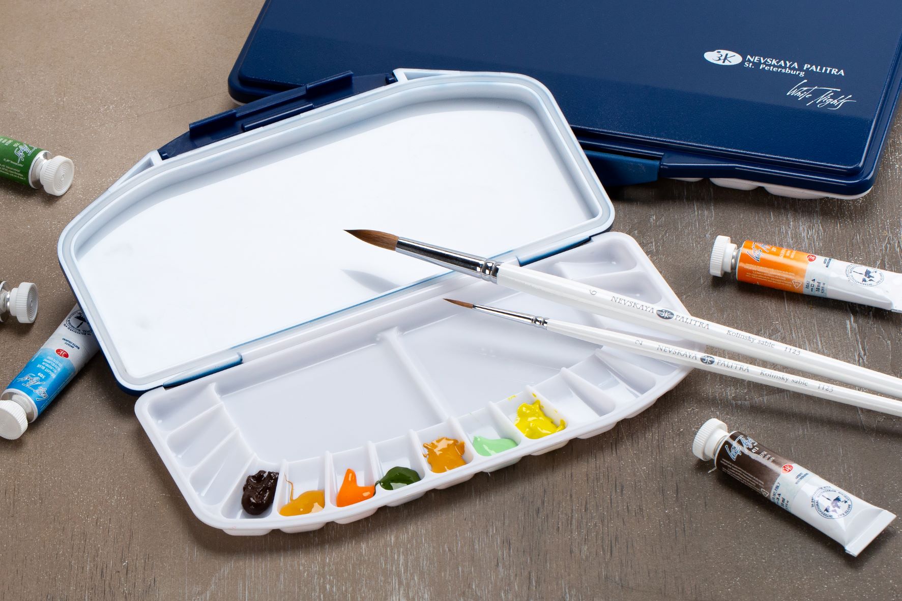 Mini Palette D'aquarelle Kit D'aquarelle De Voyage Ensemble Dé Palettes